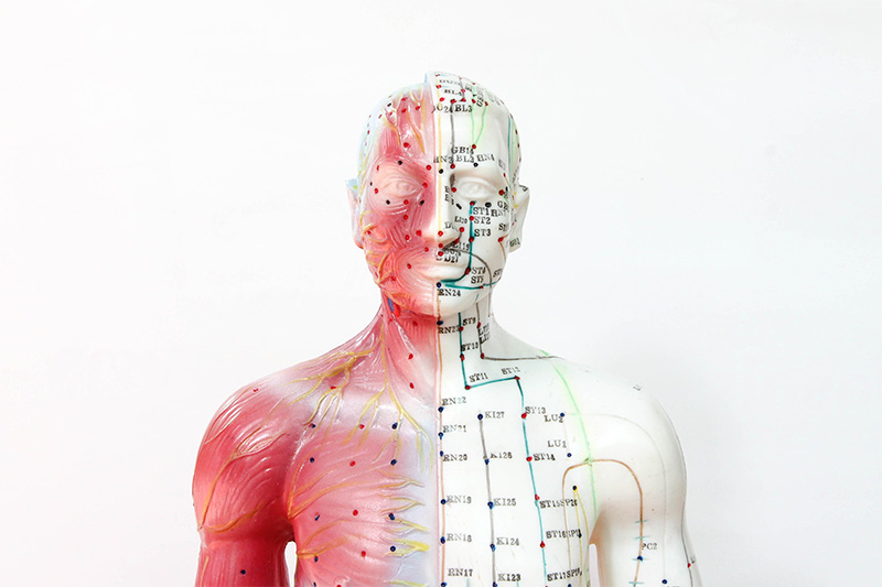 What are Body Meridians and Energy Pathways | Ana Heart Blog